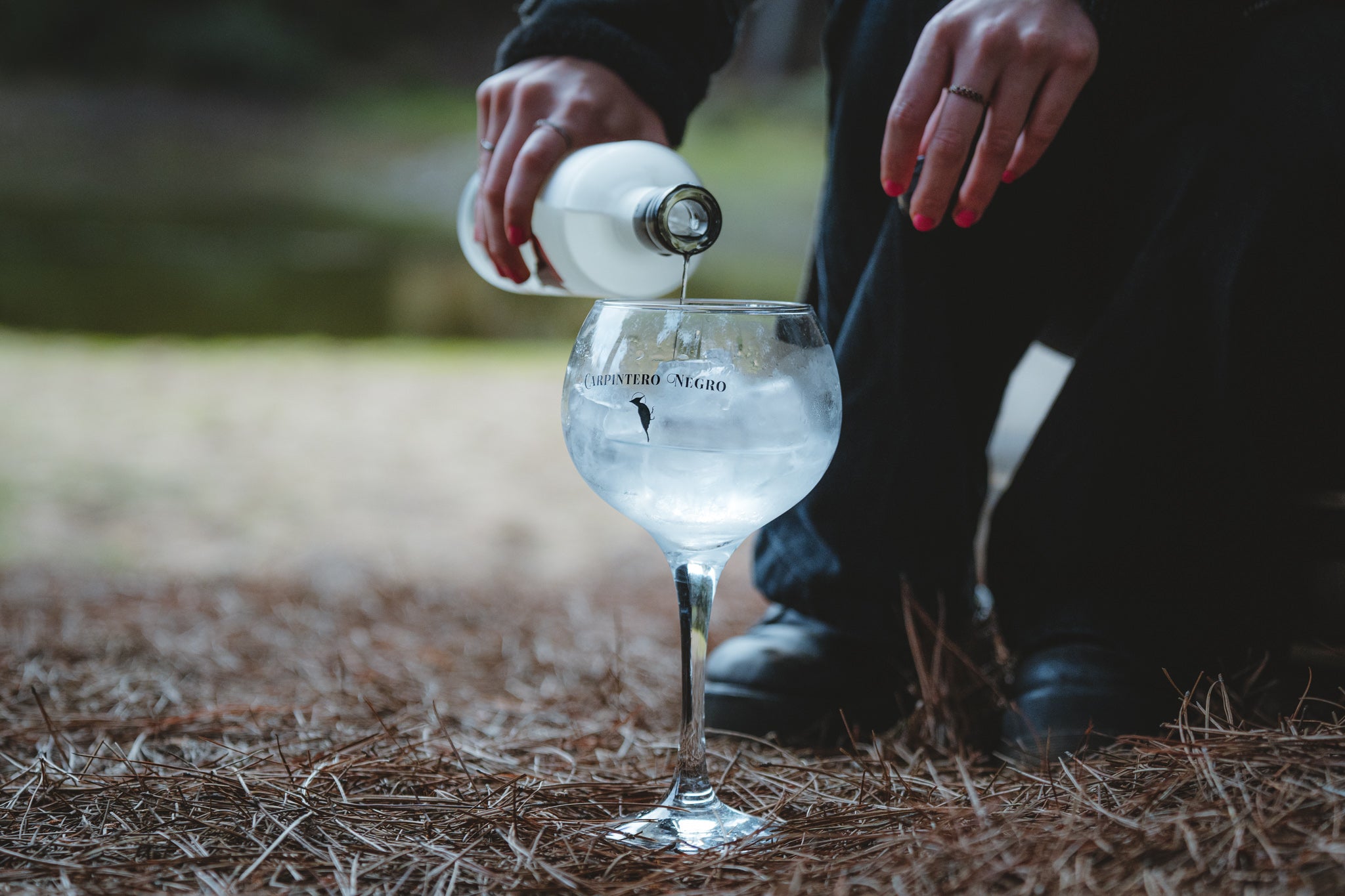 Pack 6 Copas de Gin
