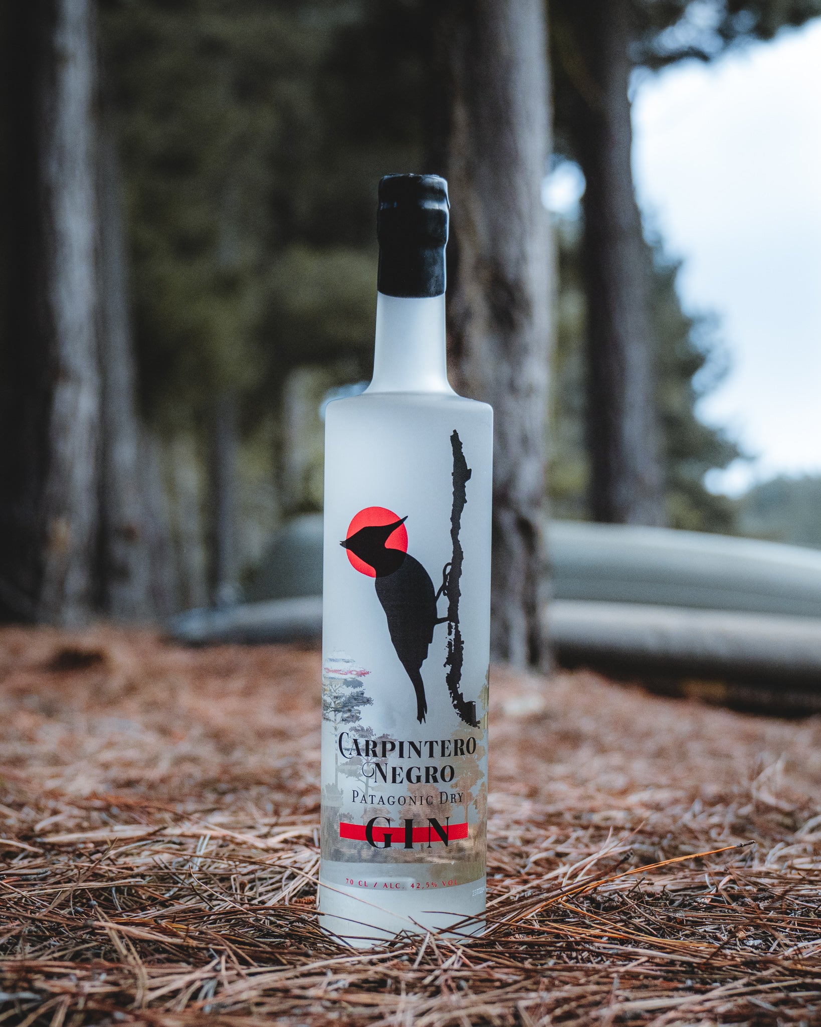 Gin Carpintero Negro