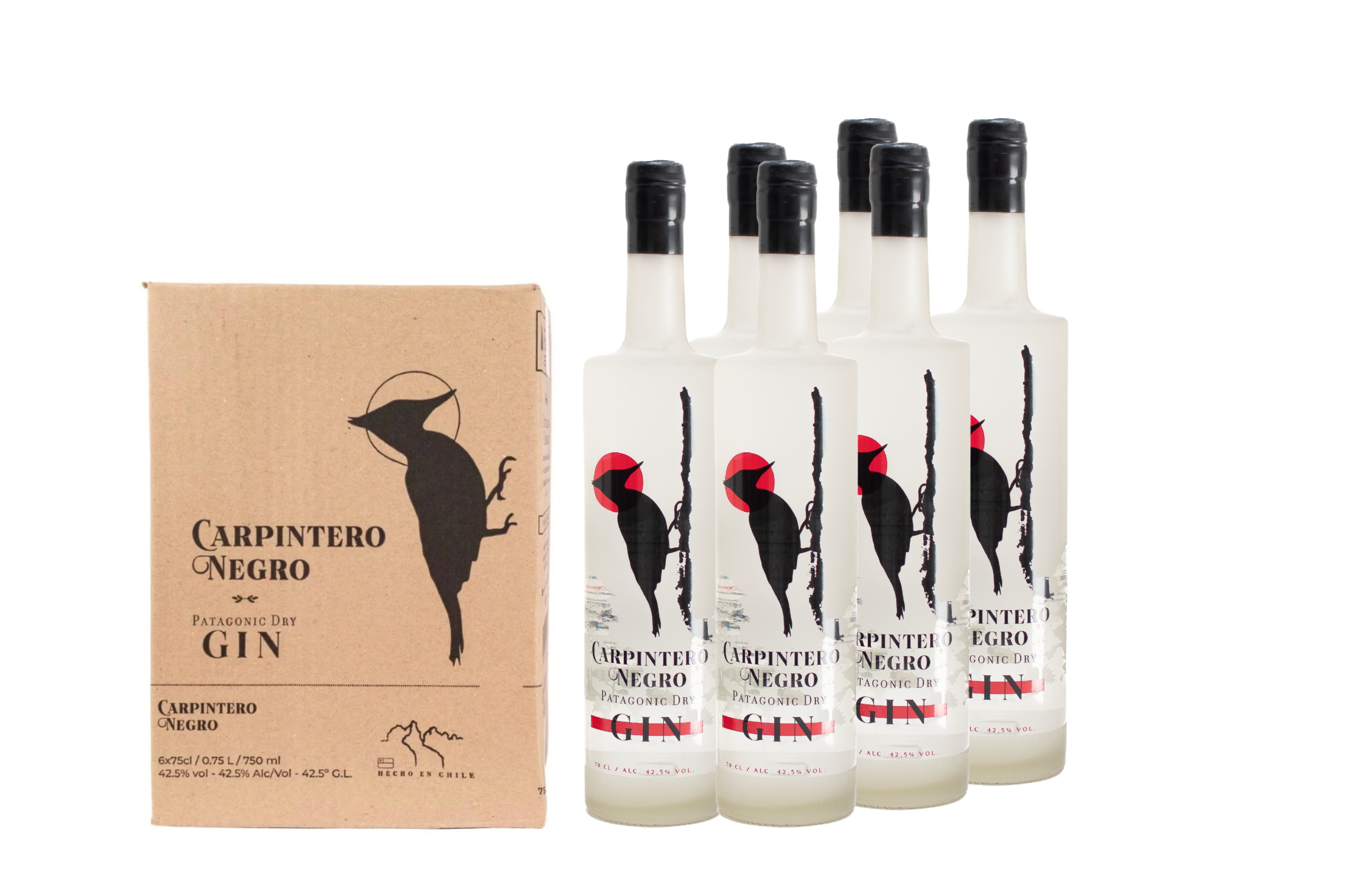 6 Botellas Gin Carpintero Negro