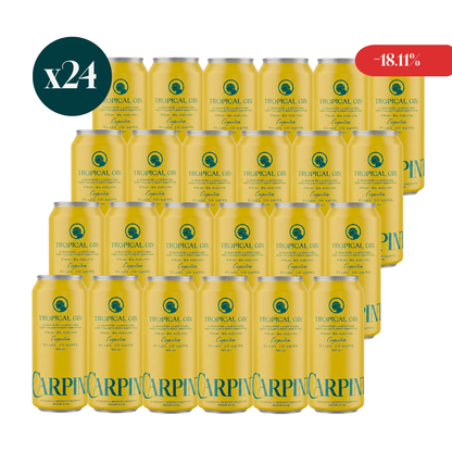 24 pack Tropical Gin