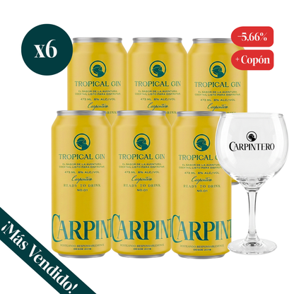 6 Pack Tropical Gin Experiencia + Copa