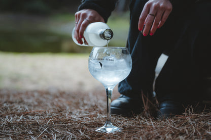 Pack 6 Copas de Gin