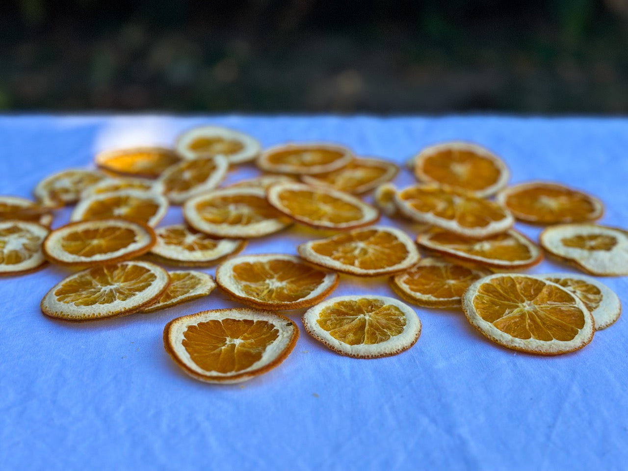 Naranja Deshidratada